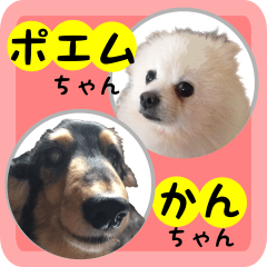 私たちの犬 ポエムとカン Lineスタンプ Tbmacademy