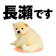 Lineスタンプ 長瀬さん用の名前スタンプ 子犬イラスト 16種類 1円