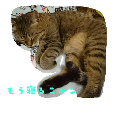 Lineスタンプ かわいいかわいい猫ちゃん 8種類 1円